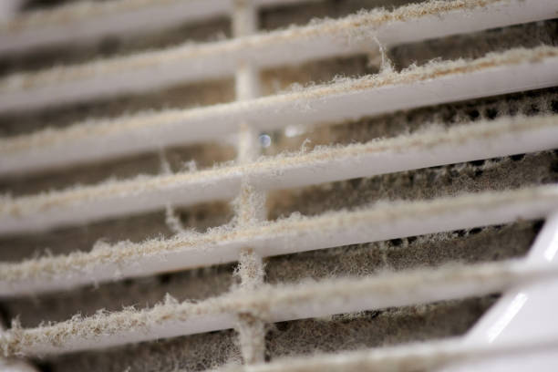 Extremely dirty air ventilation grill of HVAC with dusty clogged filter, close up, macro. Cleaning and disinfecting is required to prevent dust allergies and other lung illnesses and diseases.